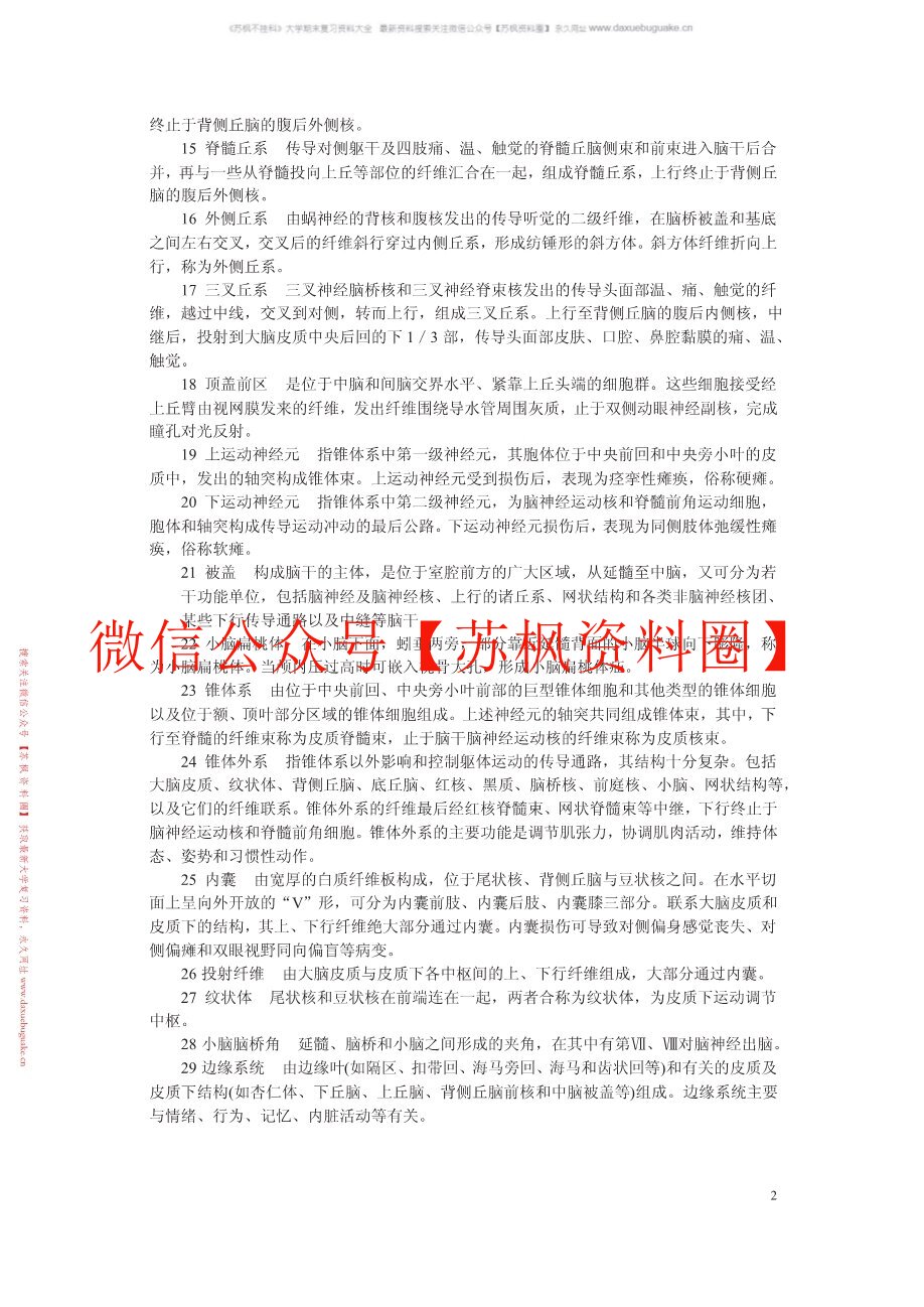 中枢神经系统